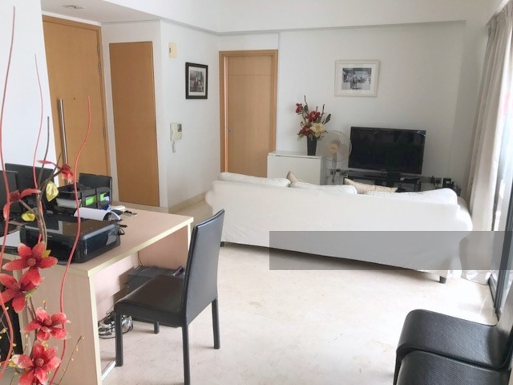 Lucida (D11), Apartment #139747922
